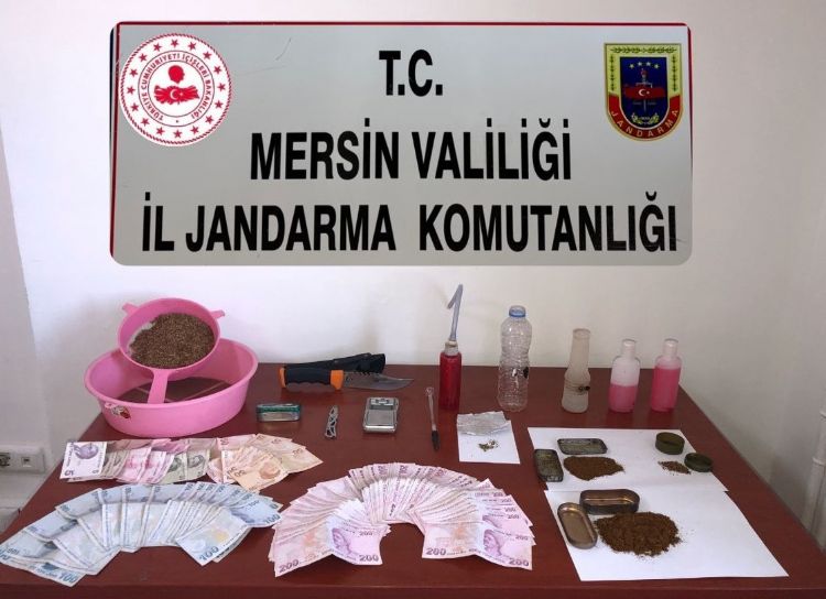 Arılara taşlı saldırı: Güvenlik kamerası o anları kaydetti
