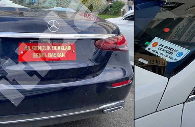 Kim bu Ak Genler?