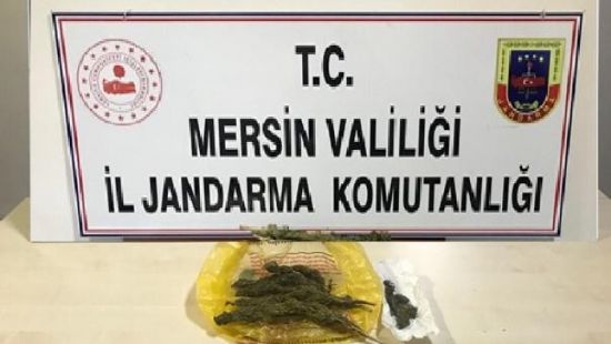 Tren garnda 15 gram esrarla yakaland