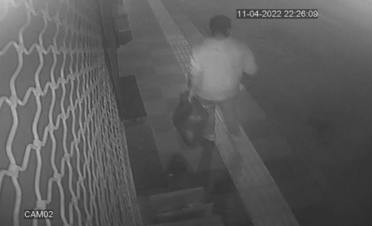 Caminin ses sistemini ald