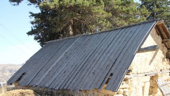 Nureddin Sofinin trbesi restore edilecek