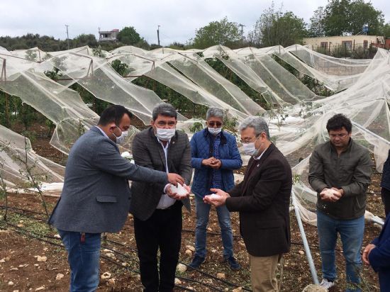 ifti yamuldu!..