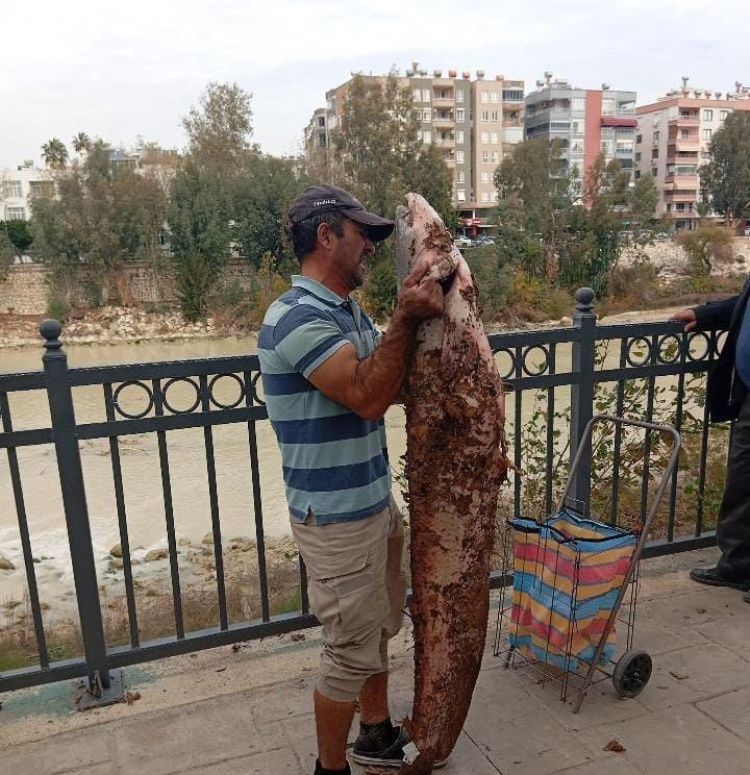 Boyu kadar yay�n bal���n� eliyle yakalad��