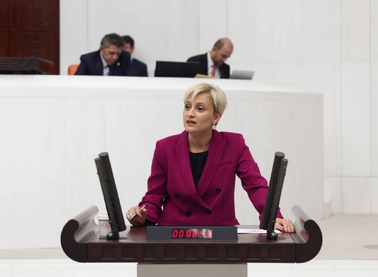 Okullarda MHPnin ideolojik<br>fikirleri mi benimsetilecek?