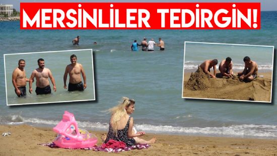 Mersinliler Tedirgin!