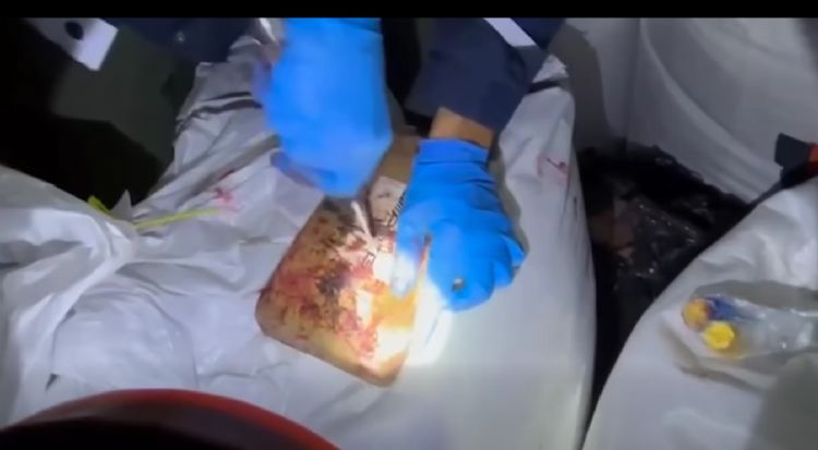 Mersin Liman��nda 298 kilogram uyu�turucu ele ge�irildi