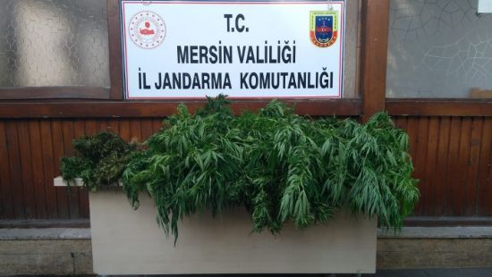 post-image