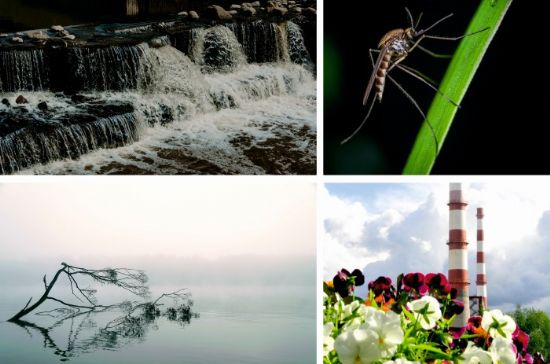 �klim de�i�ikli�i yeni tehlikelere kap� aral�yor