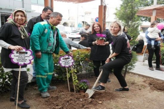 Tarsus mor begonvil kenti oluyor