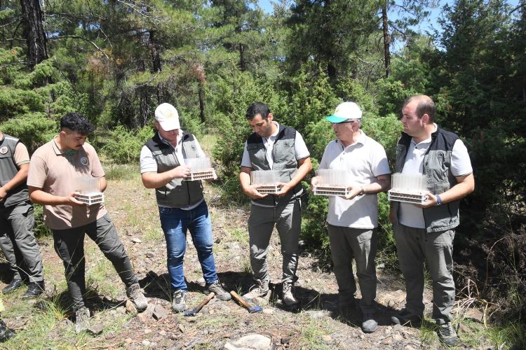 Dumansz yangna kar biyolojik mcadele balad