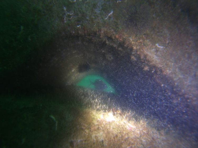 post-image
