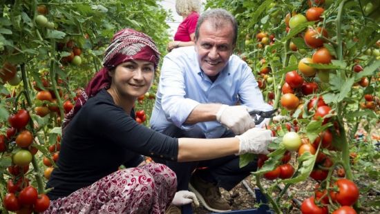 Mersin’de tarm kalknyor, retici kazanyor