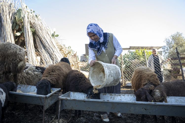 Proje b�y�d�, s�r�ler �o�ald�, �retici g��lendi