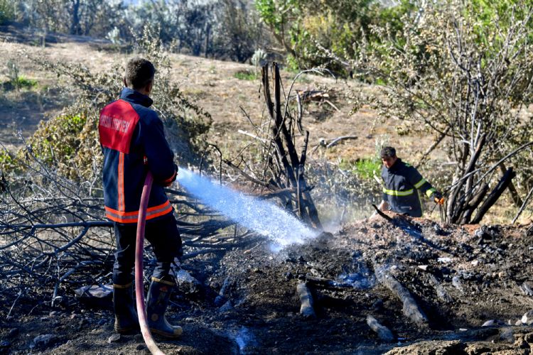 Bykehir tfaiyesi, Glnardaki yangna mdahale etti